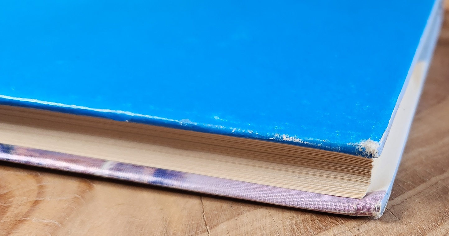 Liefde wat krom is - Kas van den Bergh