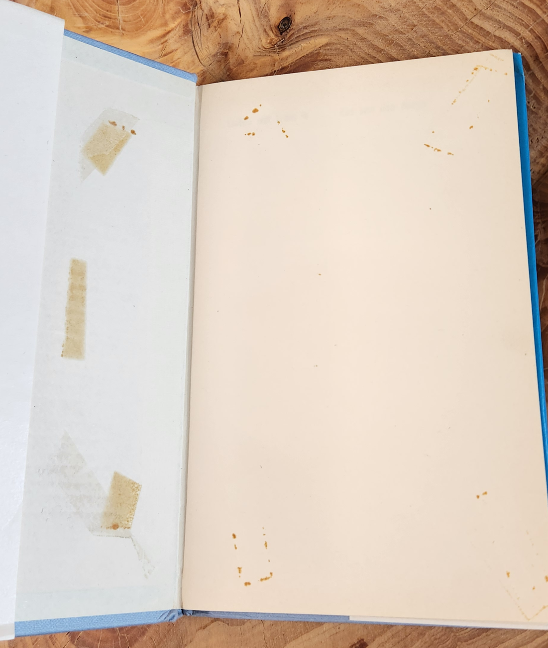 Liefde wat krom is - Kas van den Bergh