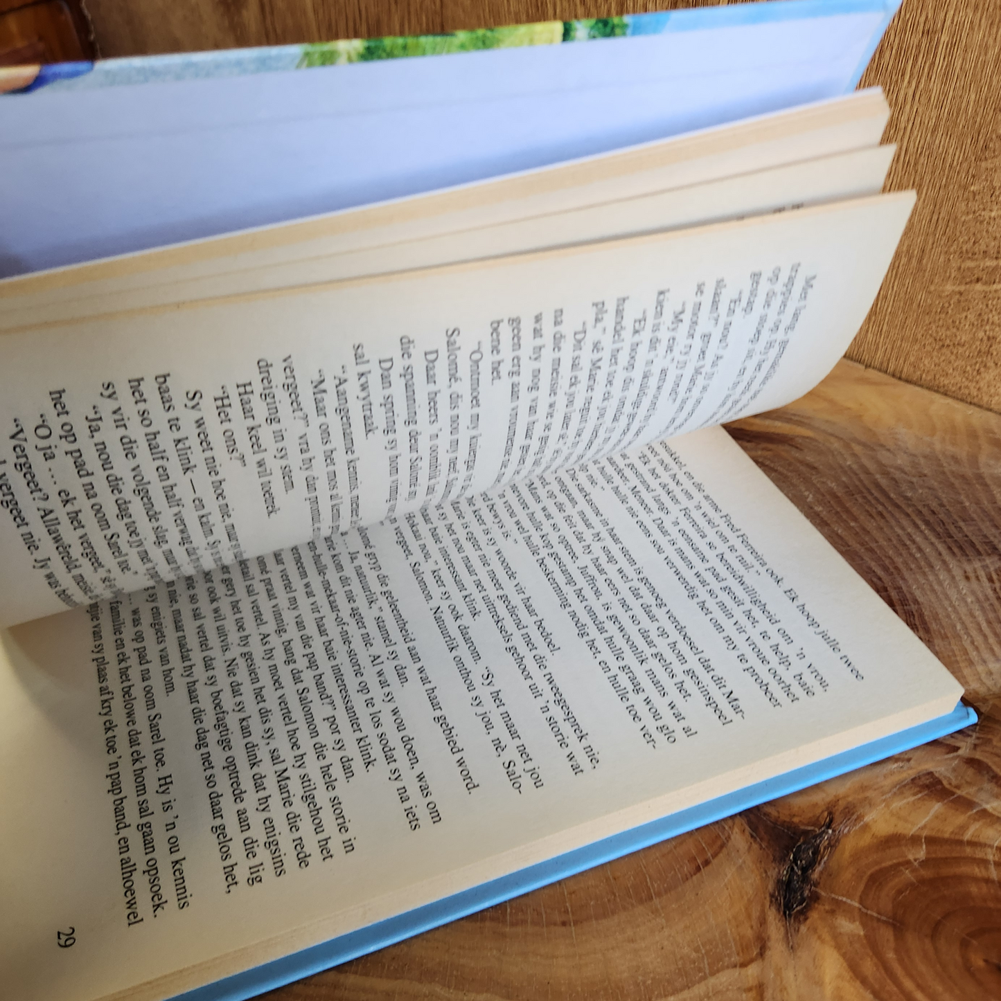 Liefhê is vir altyd - Maryna van Bergen