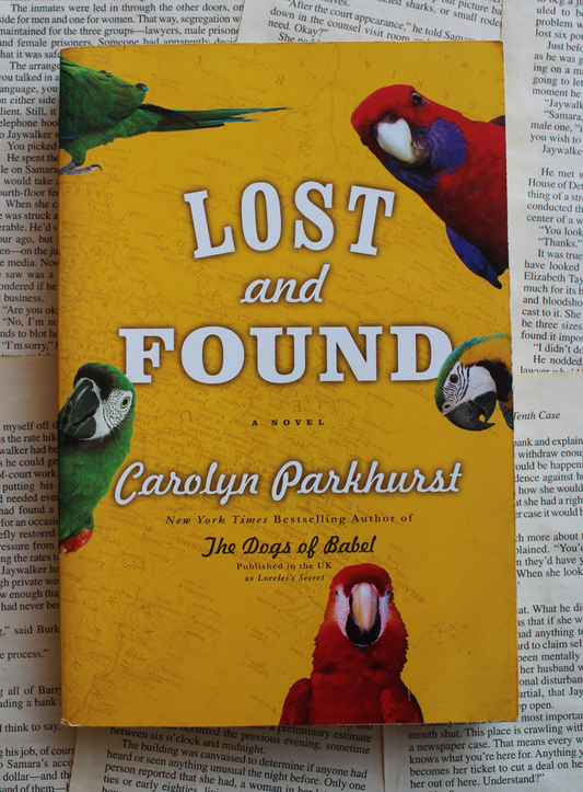 Lost and Found - Carolyn Parkhurst