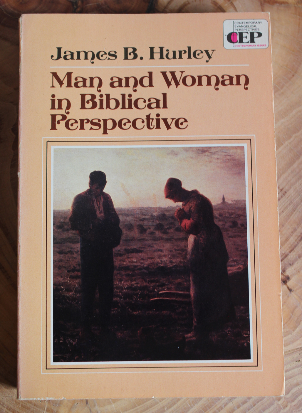 Man and Woman in Biblical Perspective - James B. Hurley