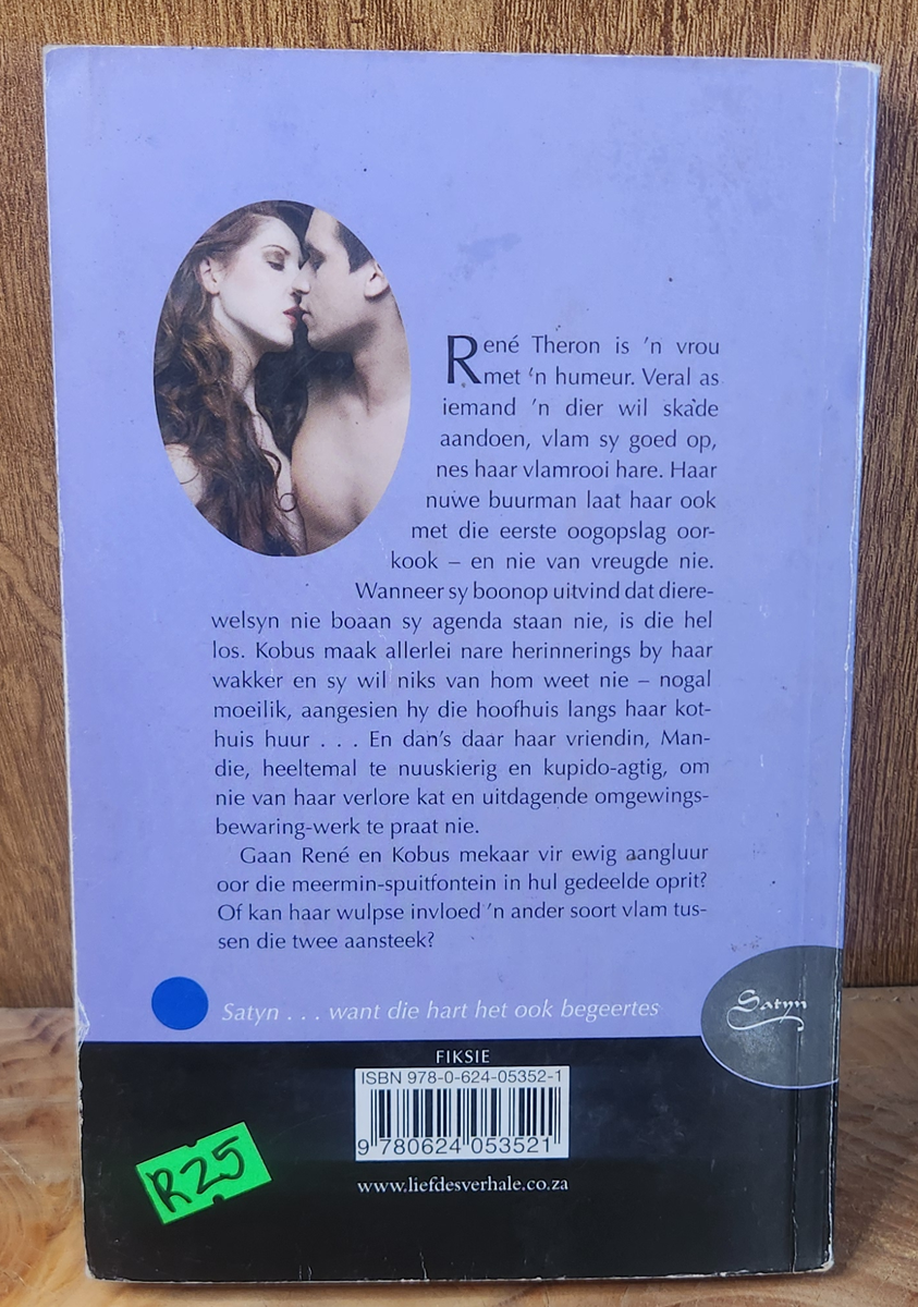 Meerminliefde - Lizet Engelbrecht