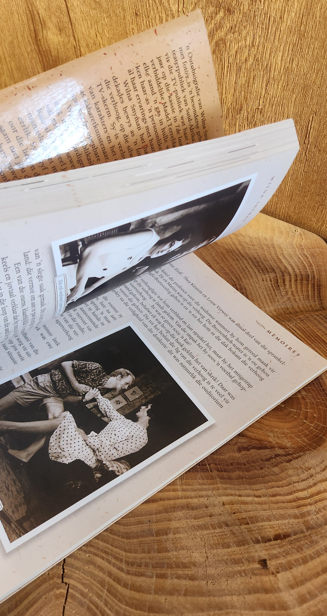 Memoires - Wilna Snyman