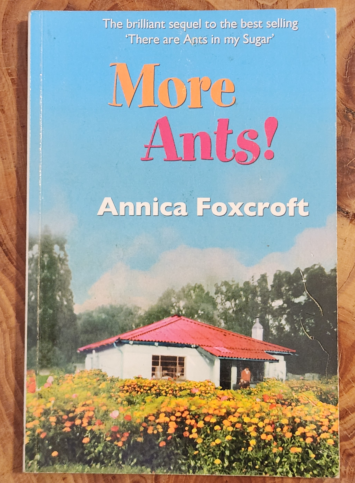 More Ants! Annica Foxcroft