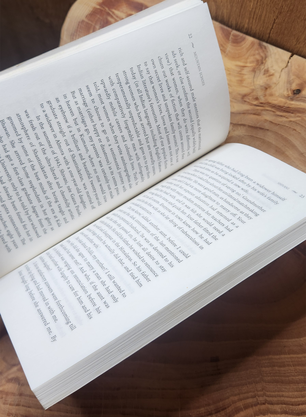 Mountain Echoes - Namita Gokhale