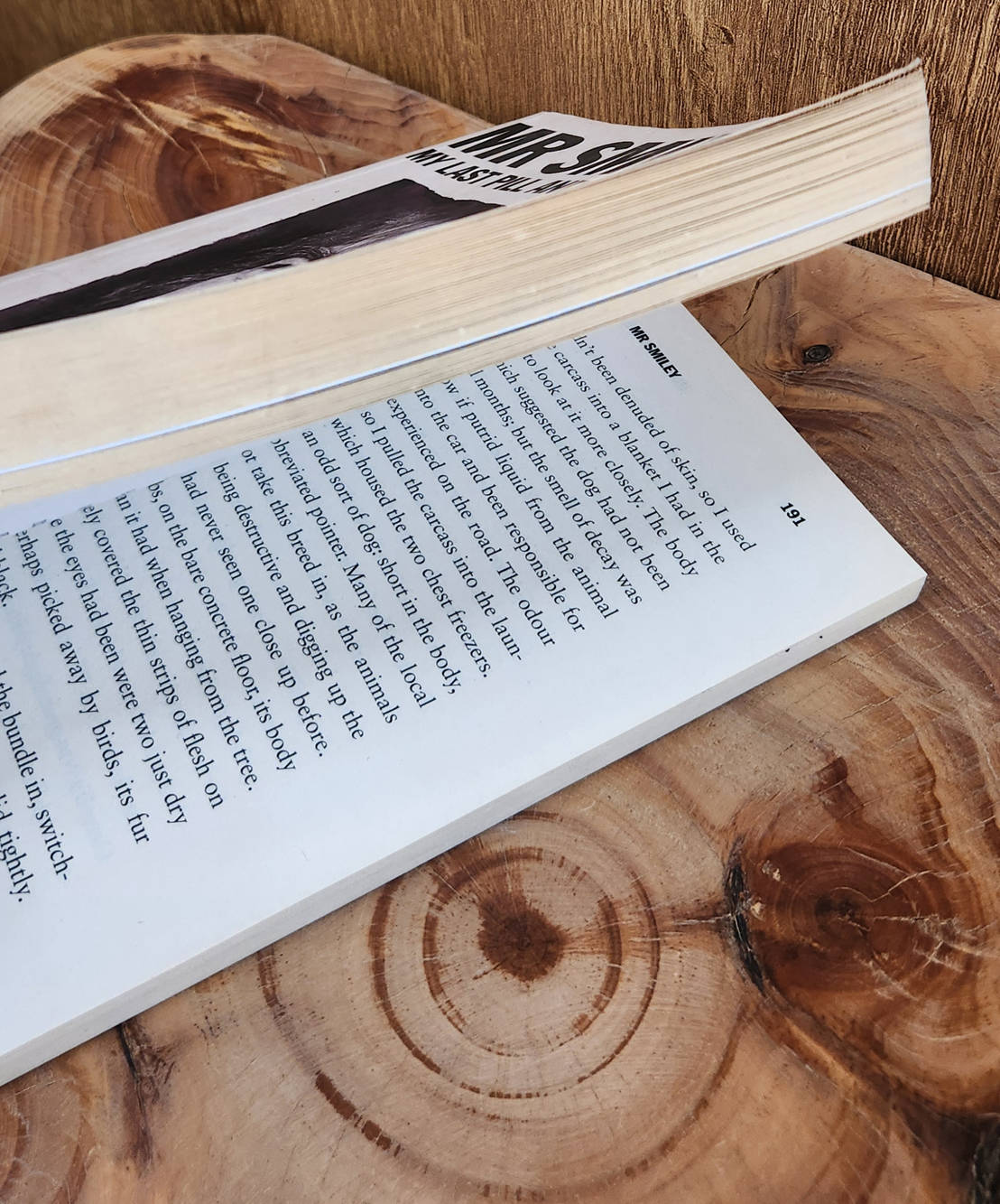 Mr Smiley - Howard Marks