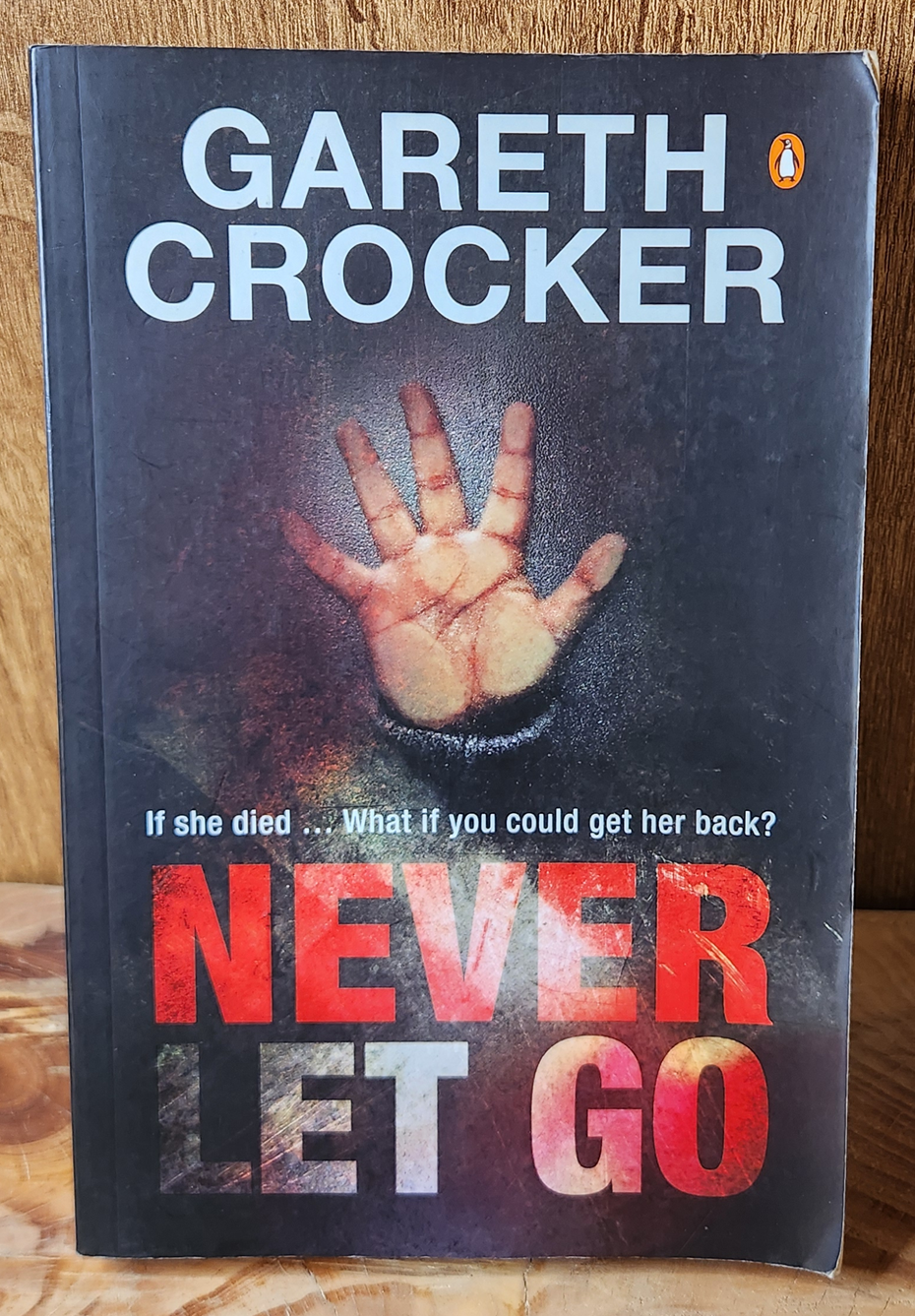 Never Let Go - Gareth Crocker