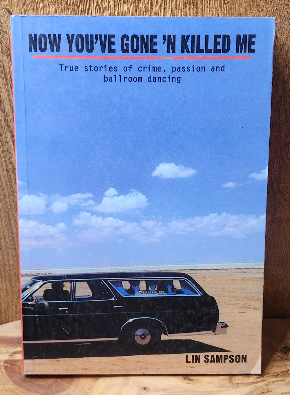 Now you've gone 'n killed me - Lin Sampson