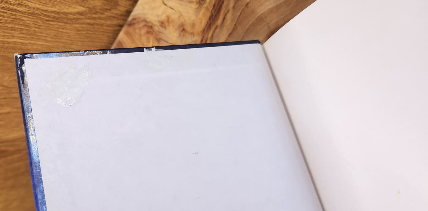 Nuwe ankers in die more - Mari van den Bergh