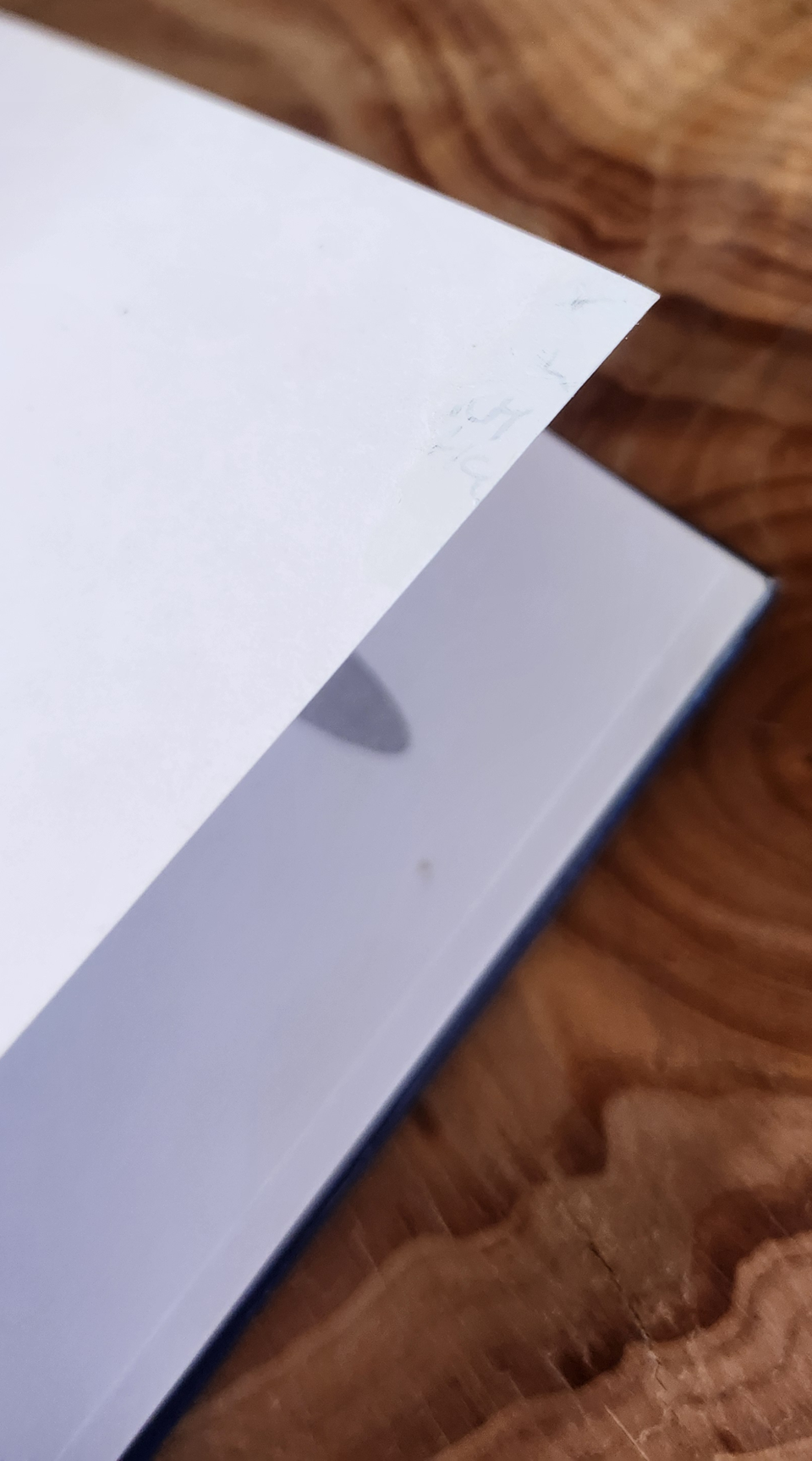 Nuwe ankers in die more - Mari van den Bergh