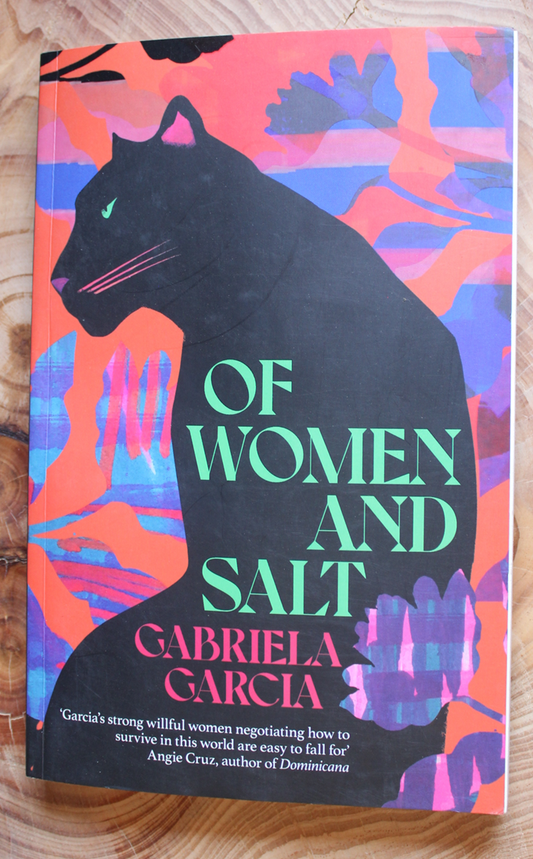 Of Women and Salt - Gabriela Garcia