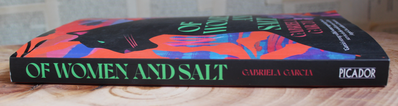 Of Women and Salt - Gabriela Garcia