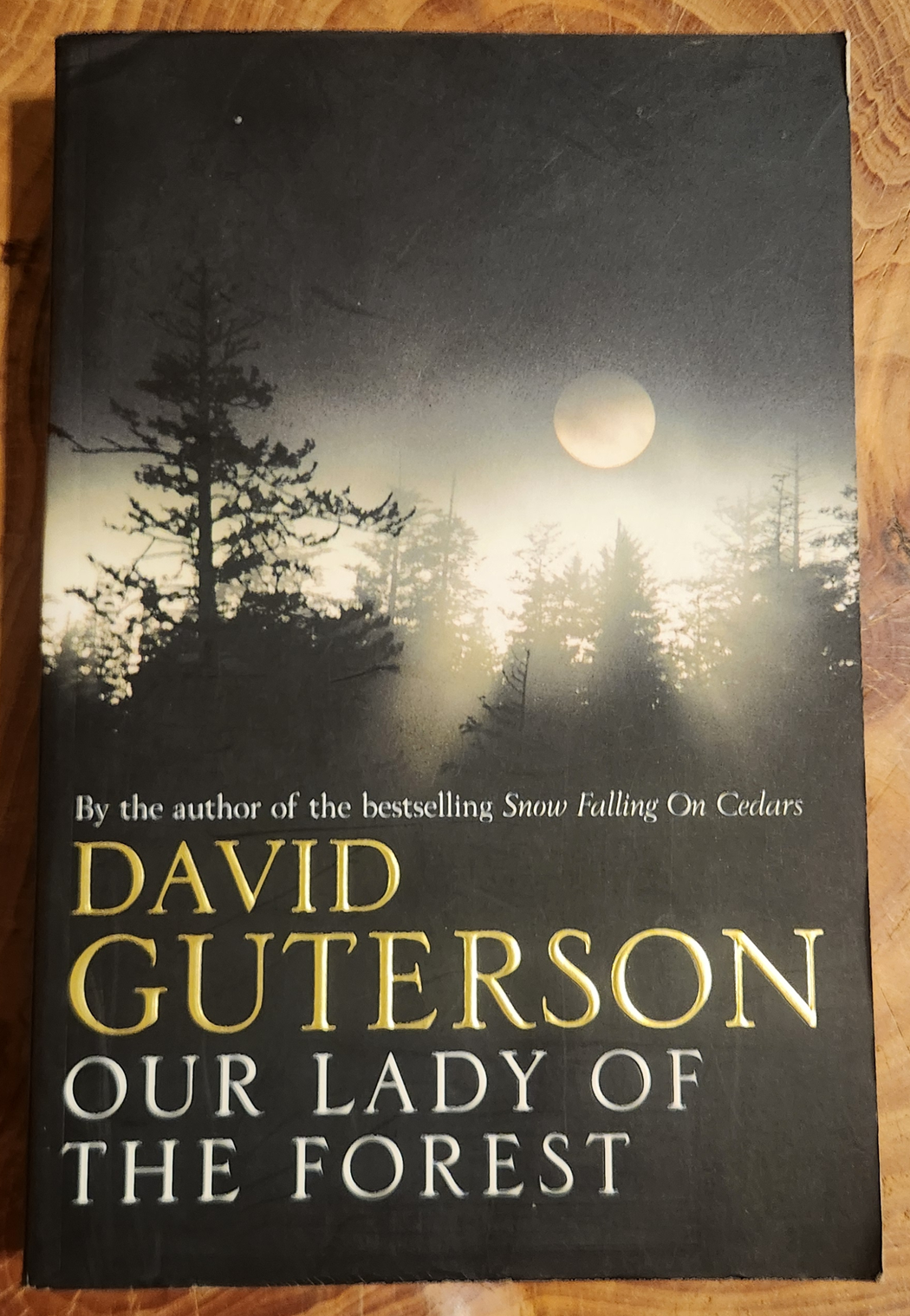 Our Lady of the Forest - David Guterson