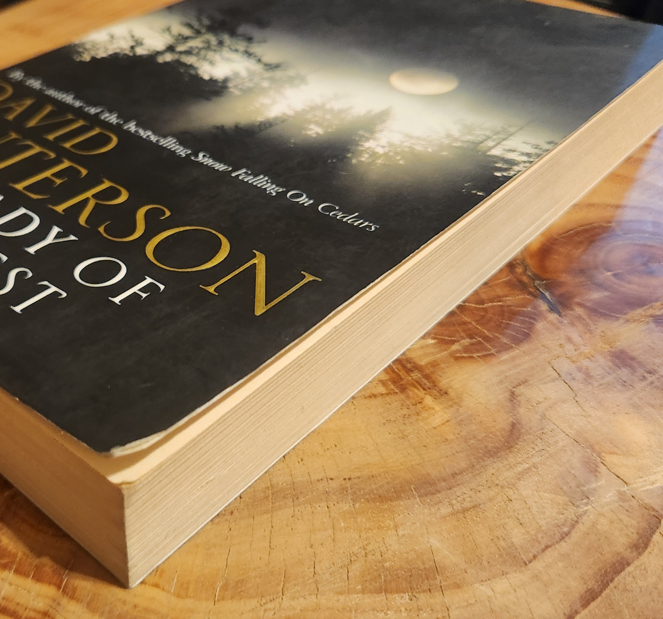 Our Lady of the Forest - David Guterson