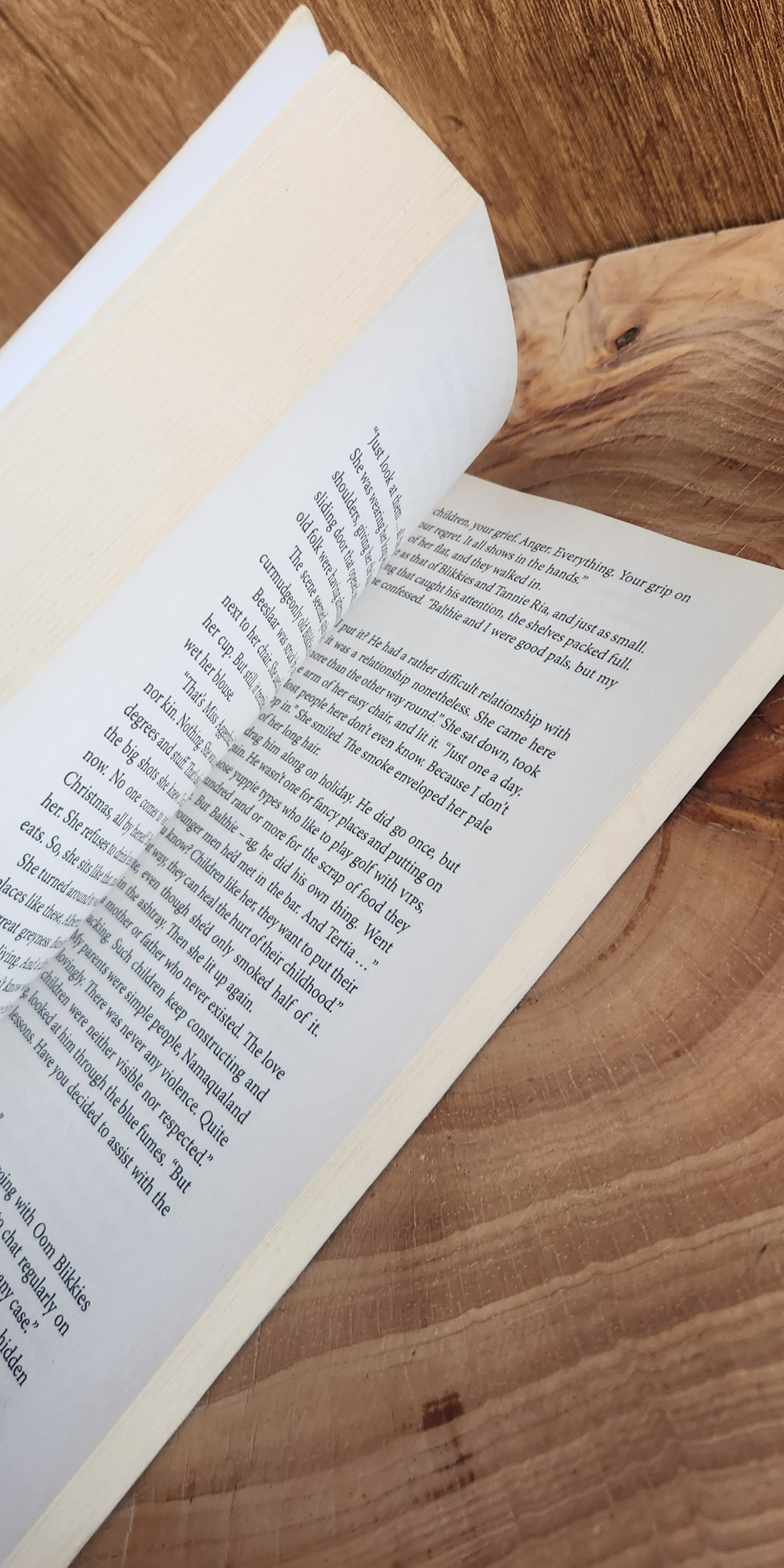 Our Fathers - Karin Brynard