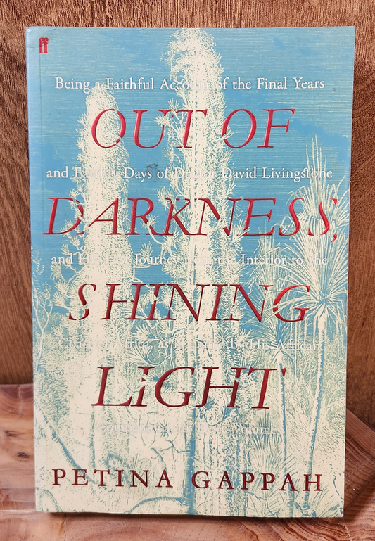 Out of Darkness, Shining Light - Petina Gappah