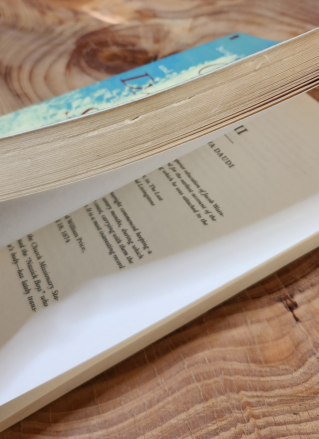 Out of Darkness, Shining Light - Petina Gappah