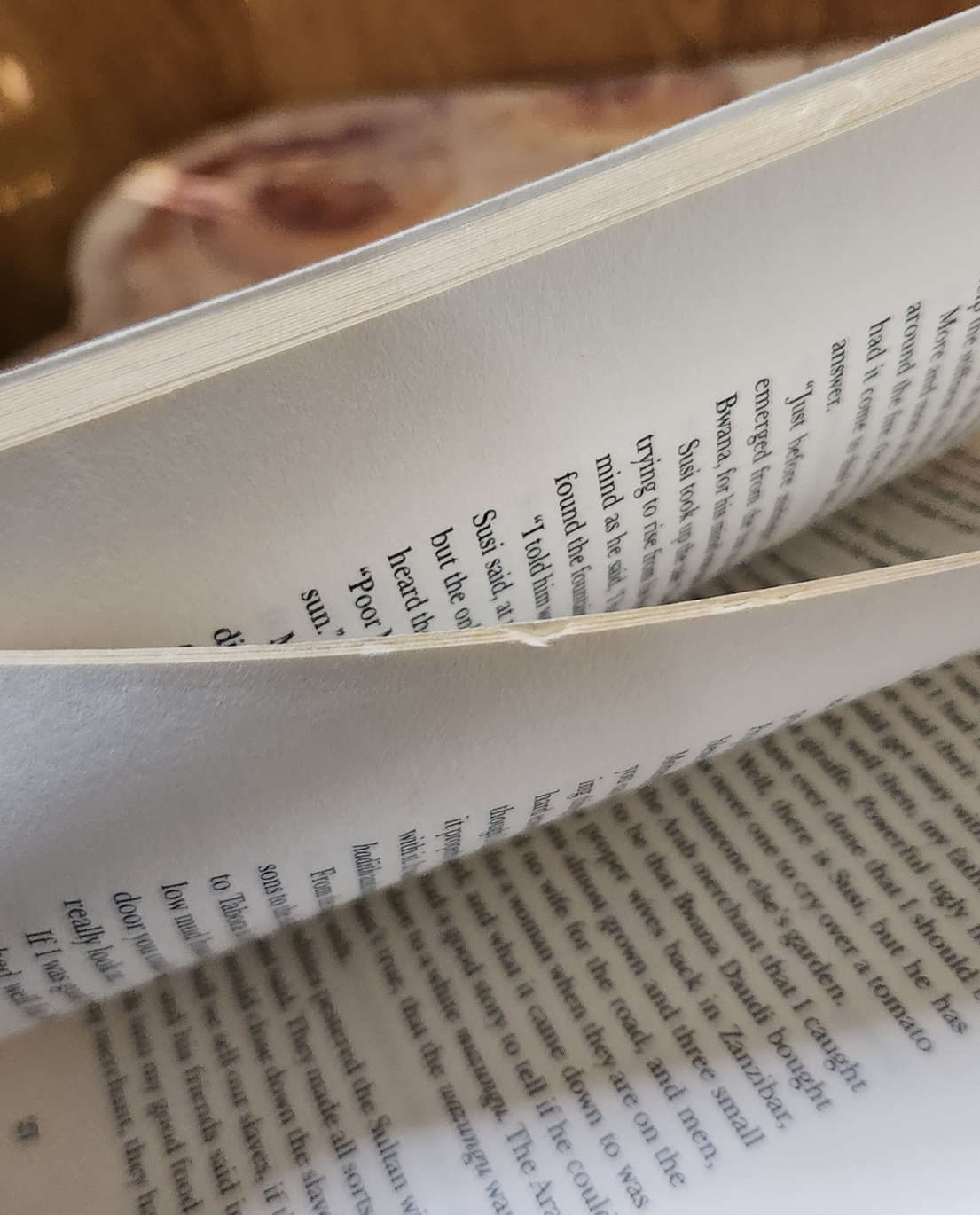 Out of Darkness, Shining Light - Petina Gappah