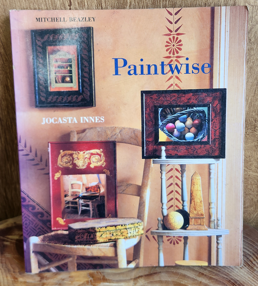 Paintwise - Jocasta Innes