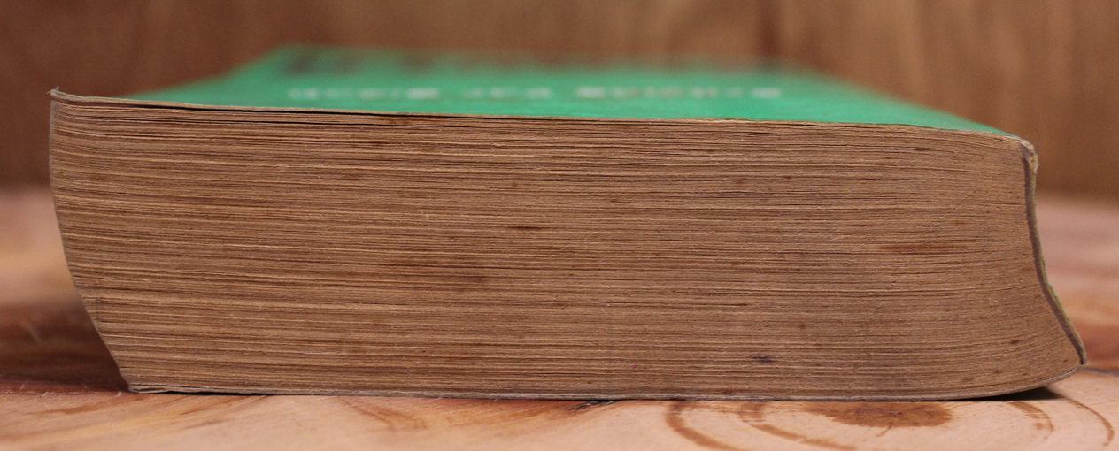 Praying for sleep - Jeffery Deaver