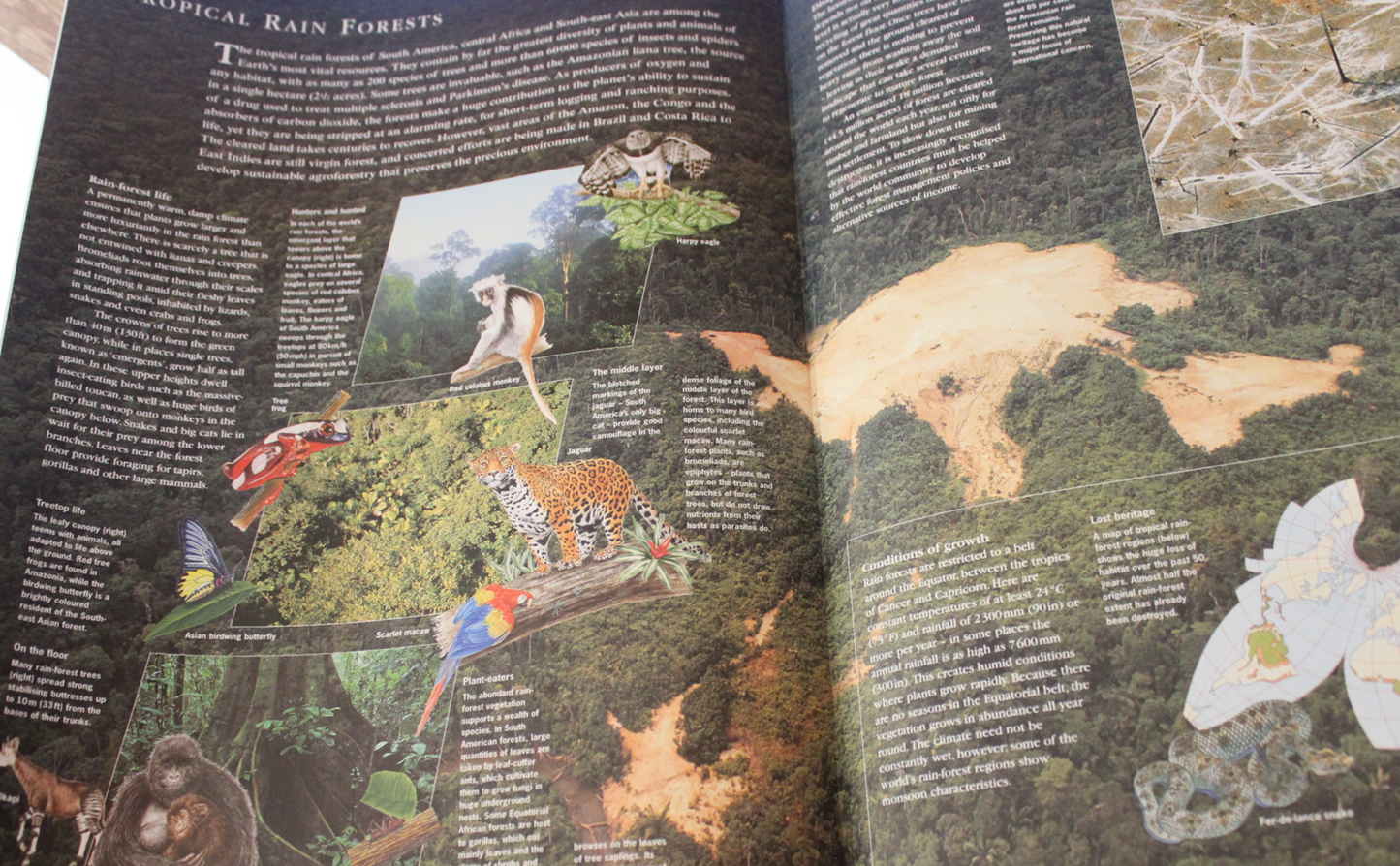 Reader's Digest Illustrated Atlas of the World