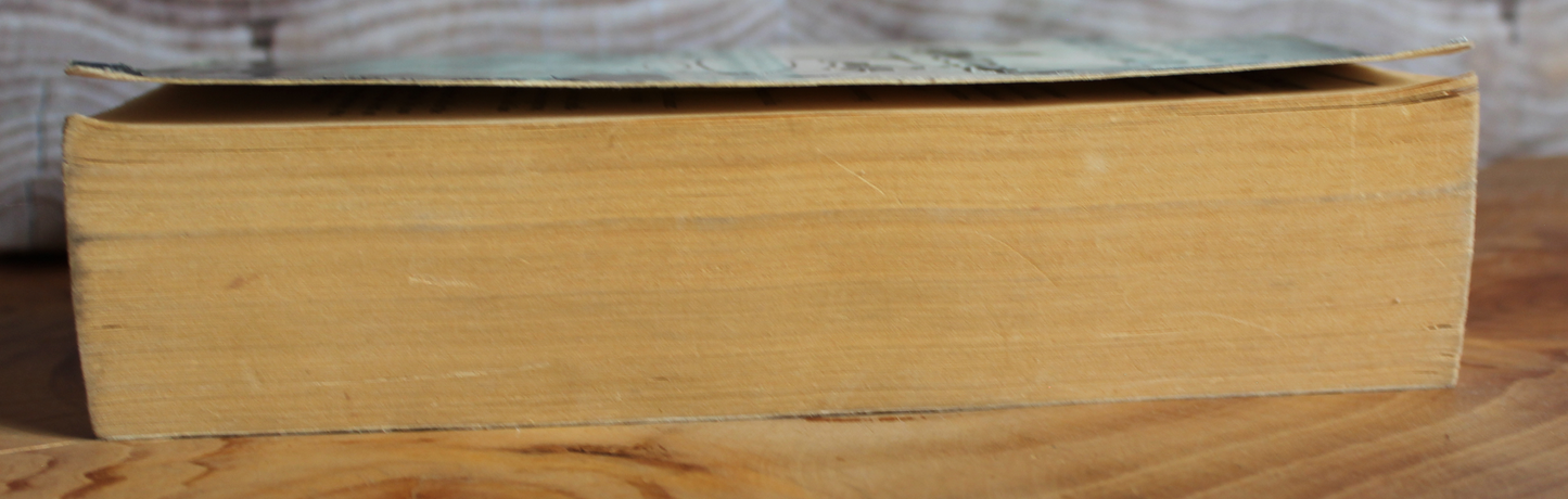 Rebecca's Tale - Sally Beauman