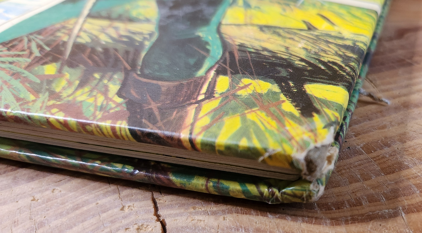 Robin Hood - Purnell Colour Classics