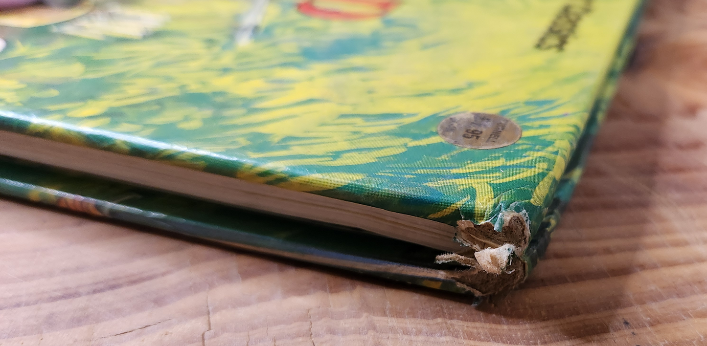 Robin Hood - Purnell Colour Classics