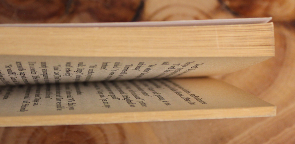 Roli's two-boy trouble - The boyfriend Club