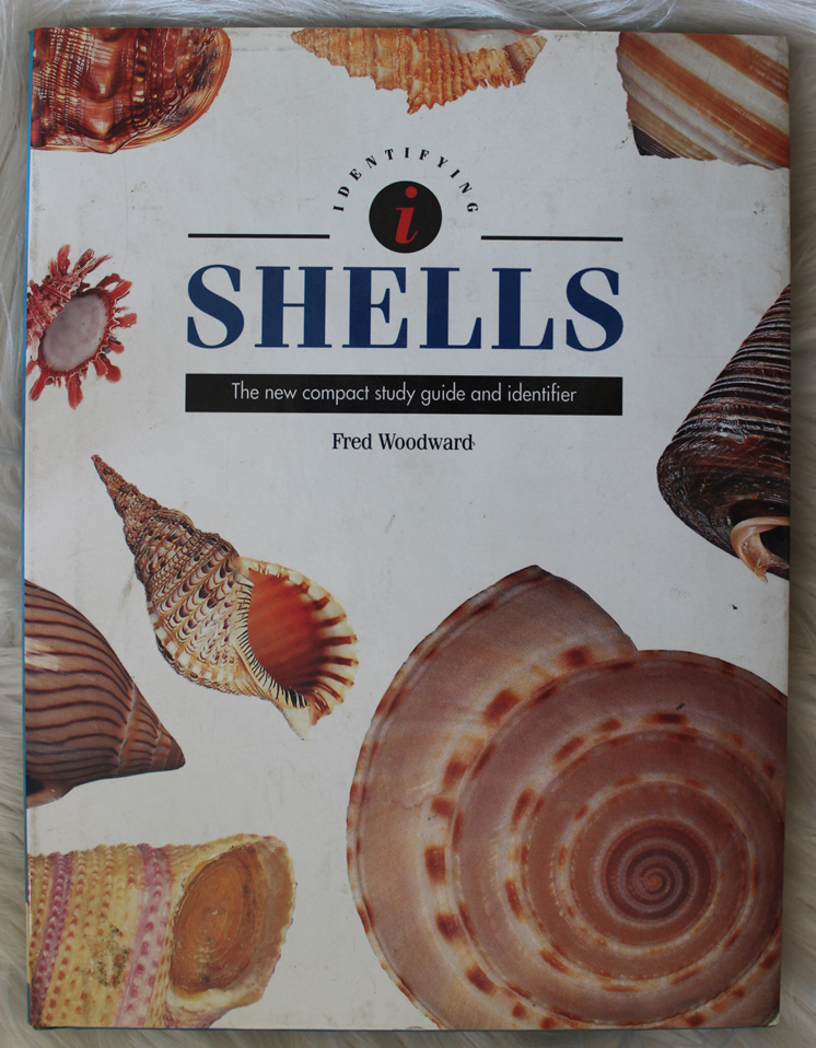 Shells - Fred Woodward