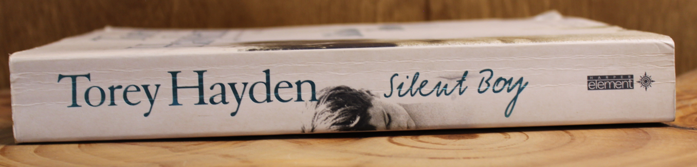 Silent Boy - Torey Hayden
