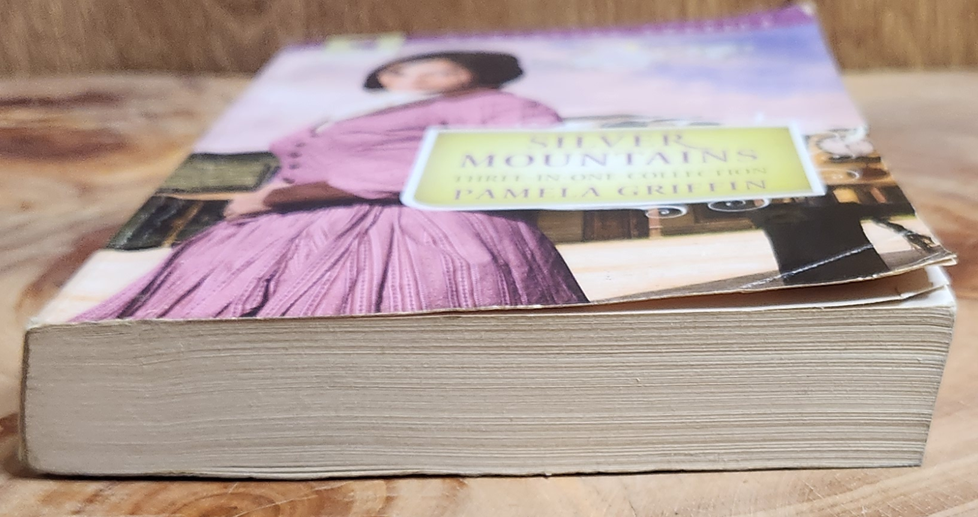 Silver Mountains - Pamela Griffin