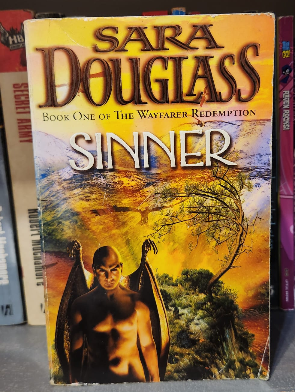 Sinner - Sara Douglas