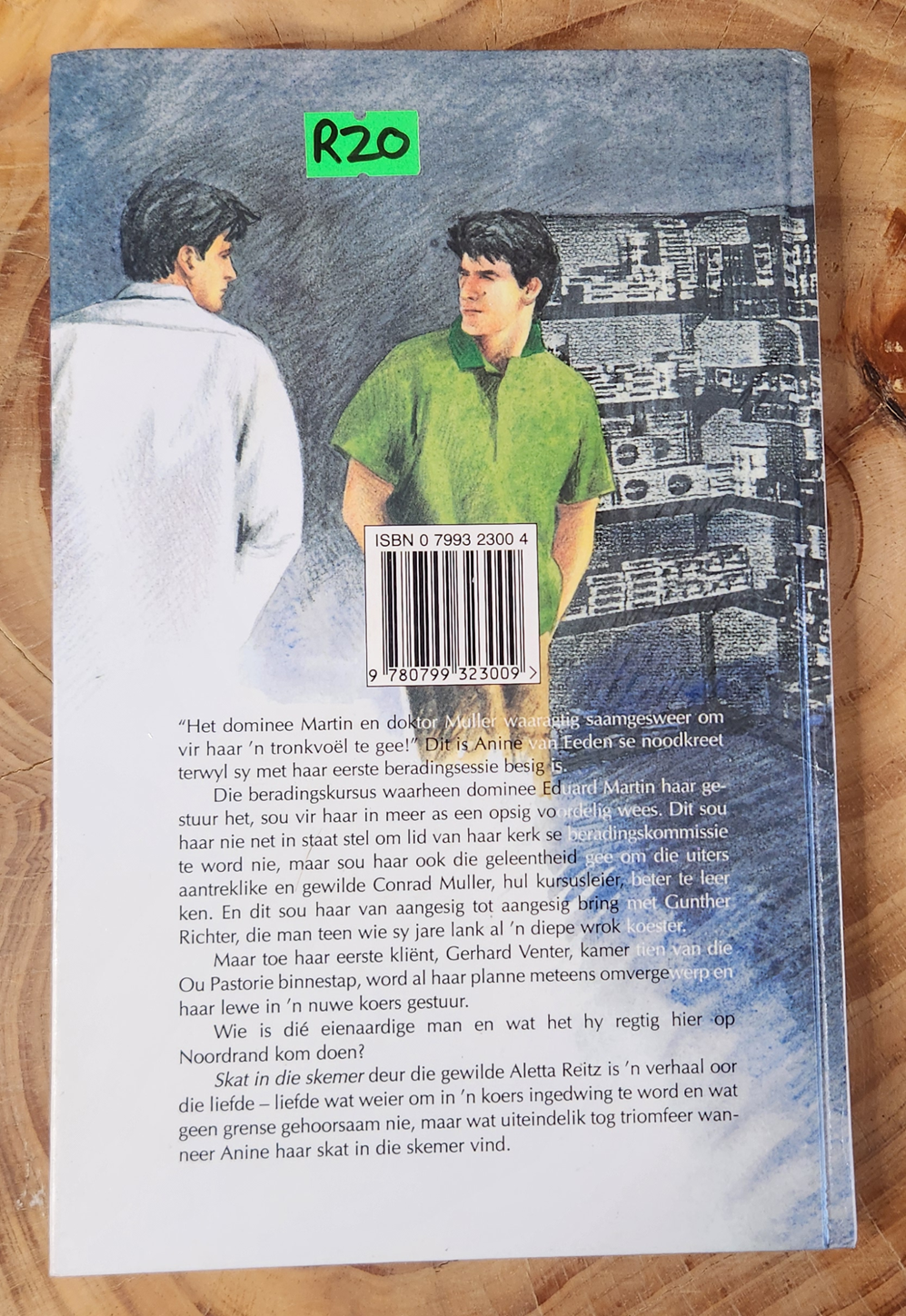 Skat in die Skemer - Aletta Reitz