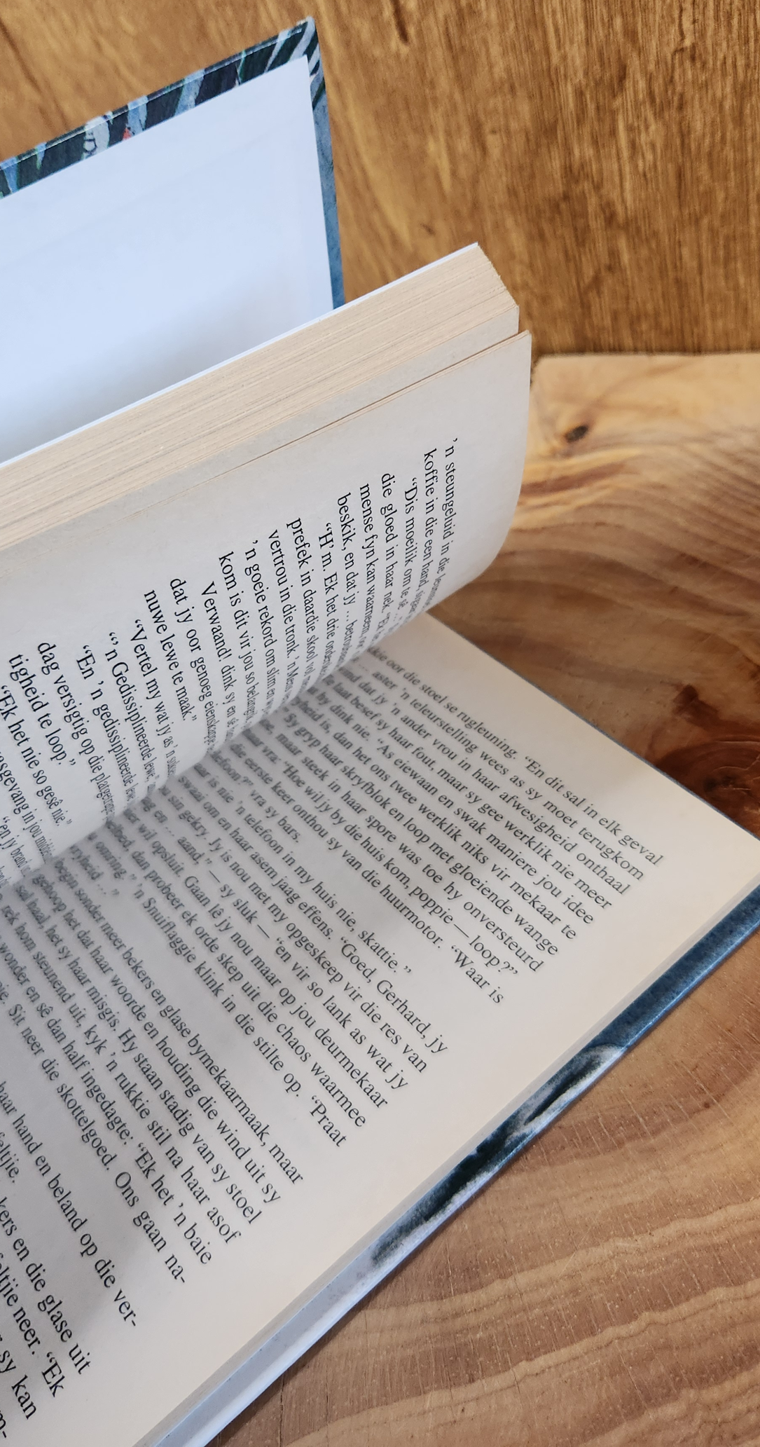 Skat in die Skemer - Aletta Reitz