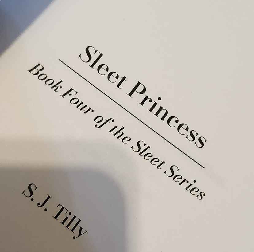 Sleet Princess - S.J. Tilly