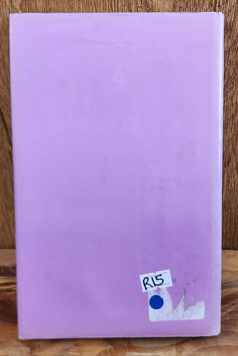 Soektog na 'n reenboog - Nan Henning