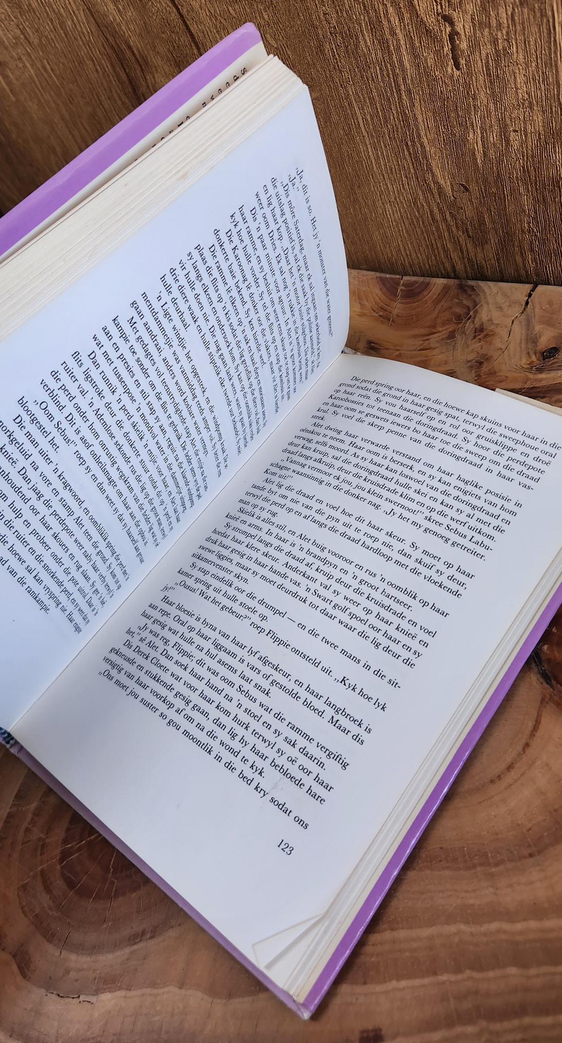 Soektog na 'n reenboog - Nan Henning