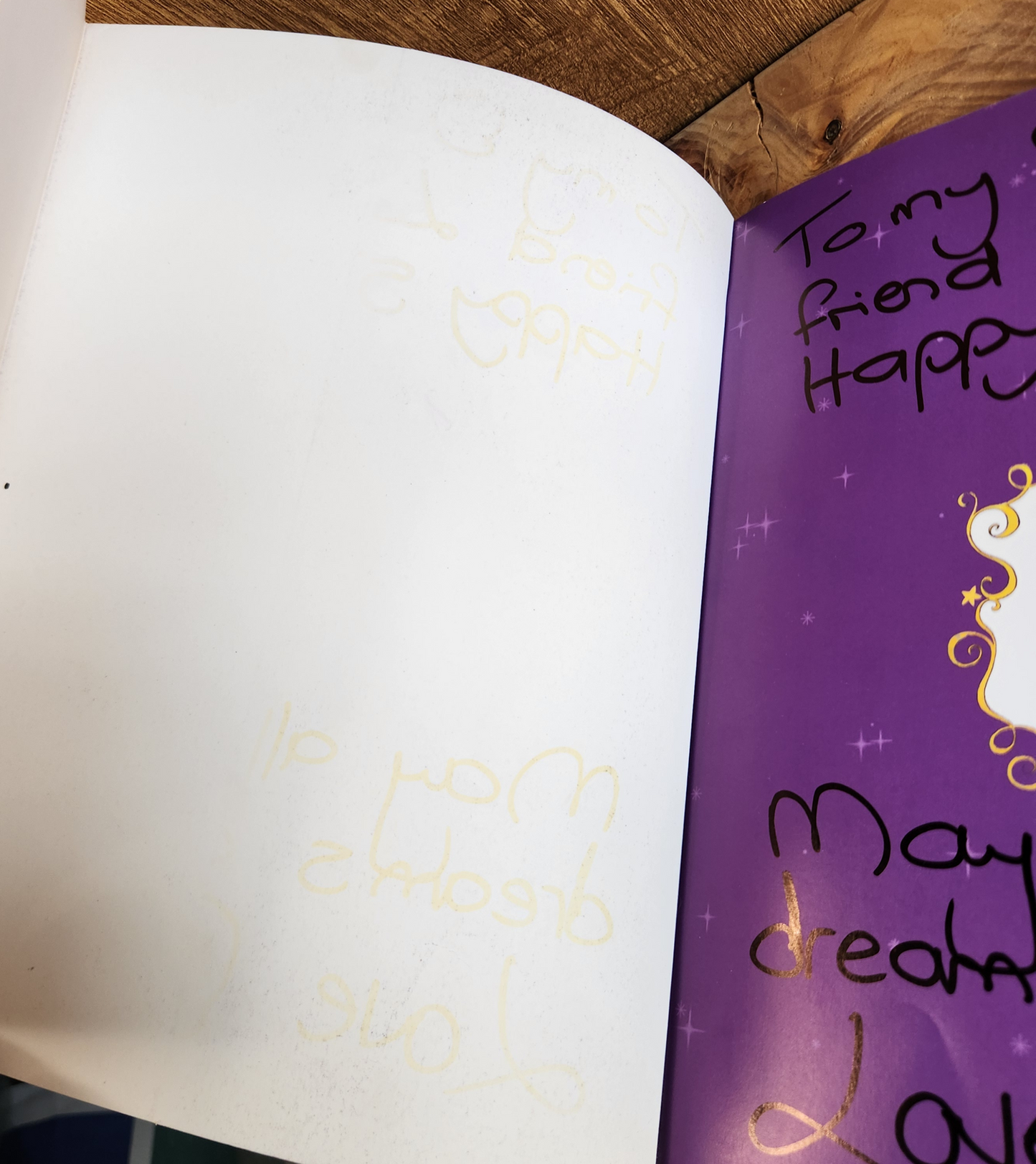 Sofia the First, The Enchanted Feast