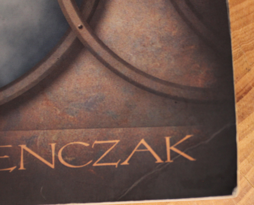 Sons of the goddess - Christopher Penczak