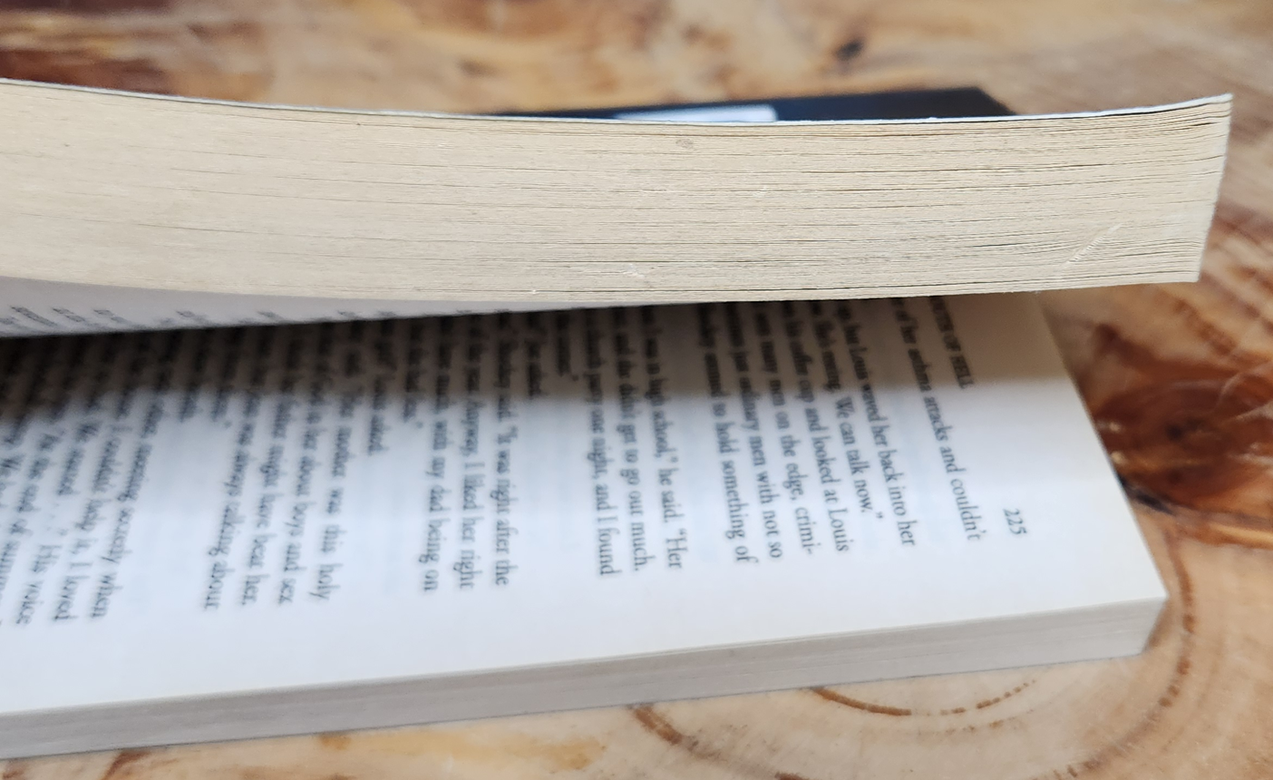 South of Hell - P.J. Parrish