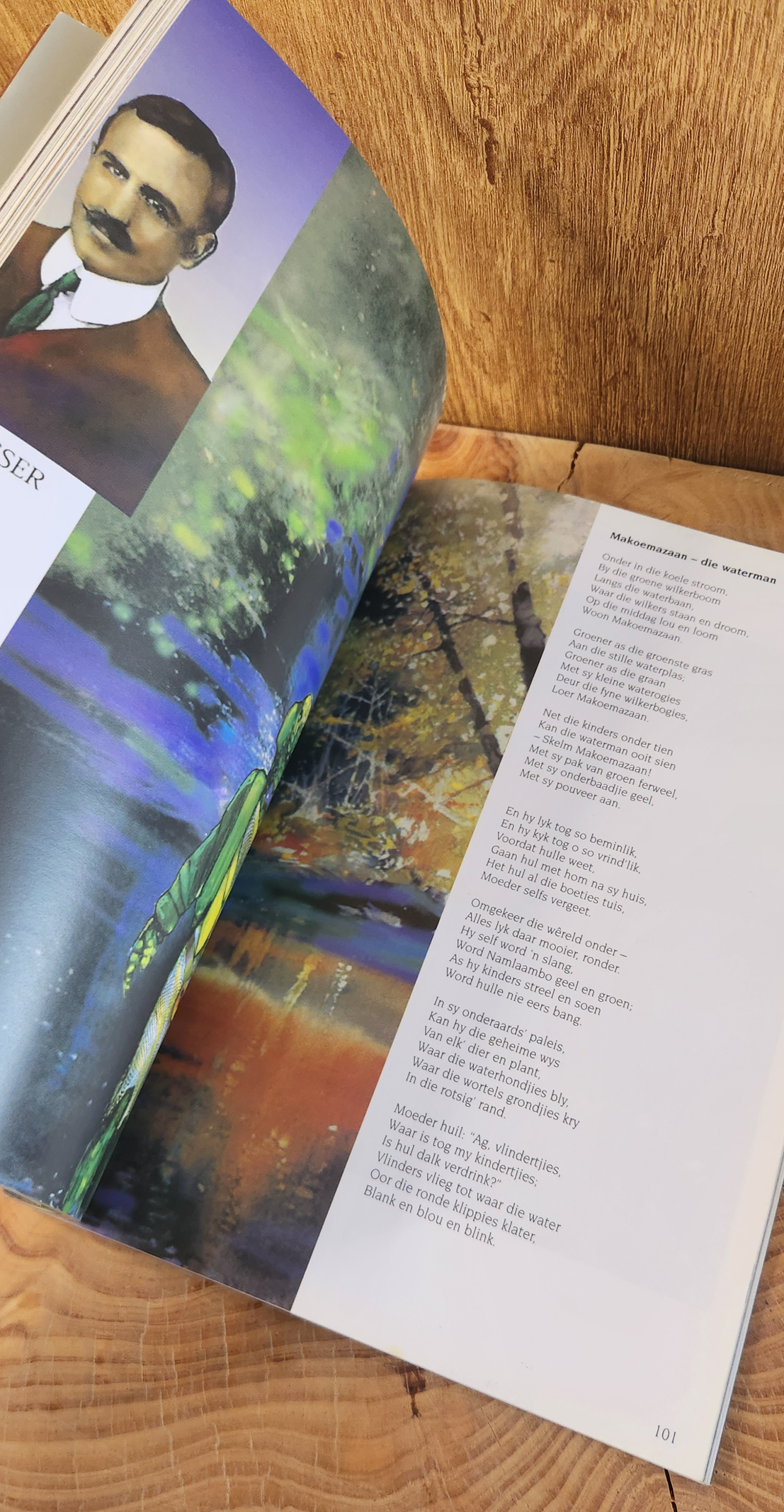 Stories op Rym - Pieter W. Grobbelaar