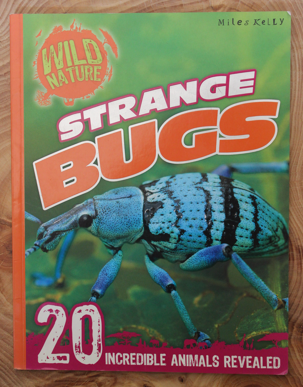 Wild Nature - Strange Bugs