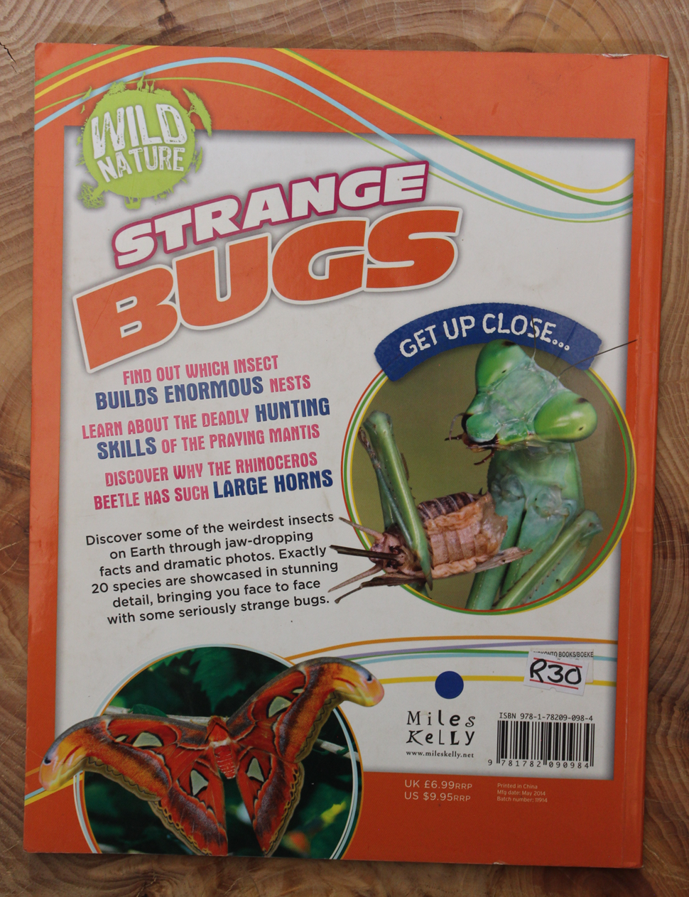 Wild Nature - Strange Bugs