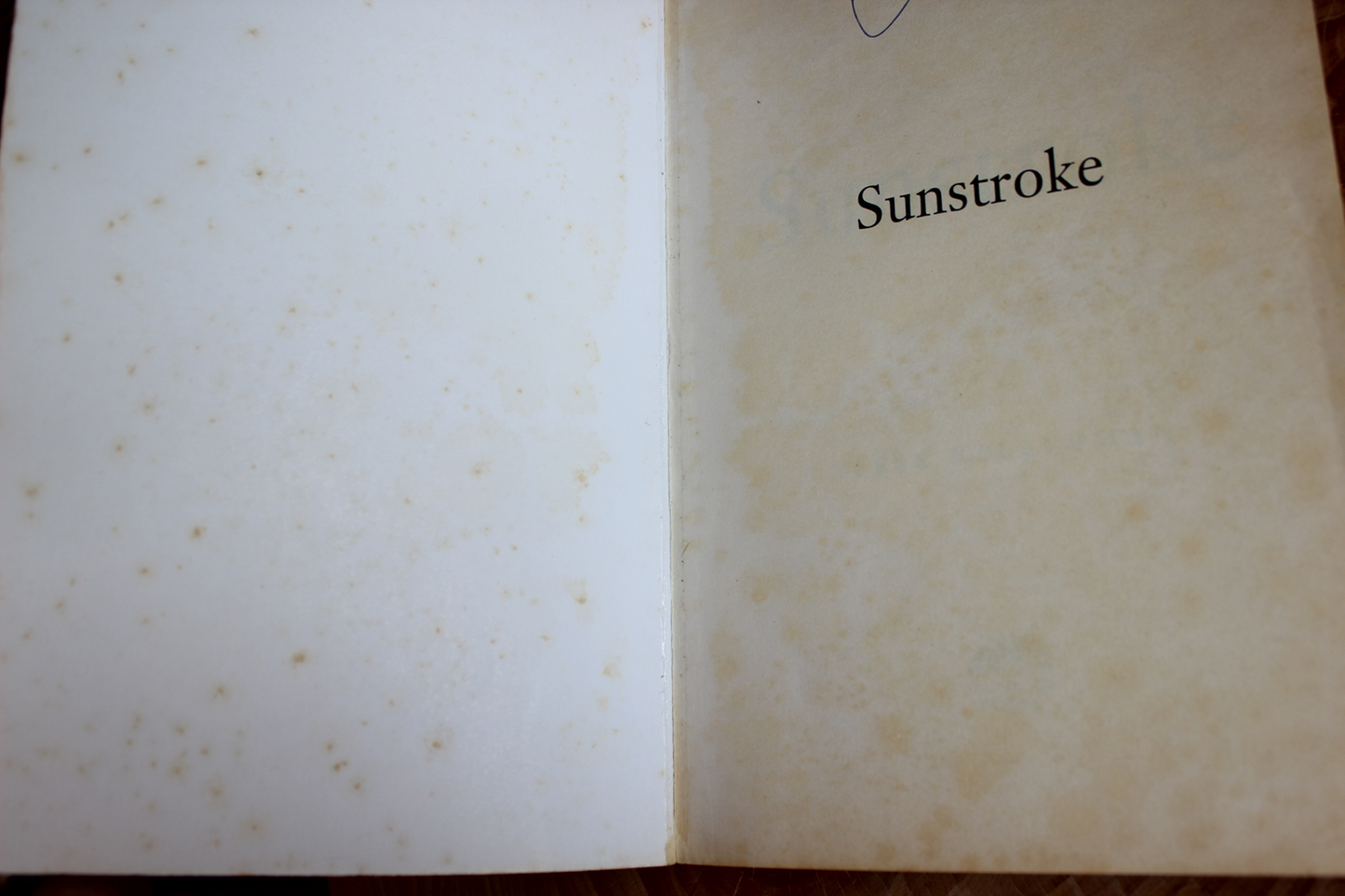 Sunstroke - Jesse Kellerman