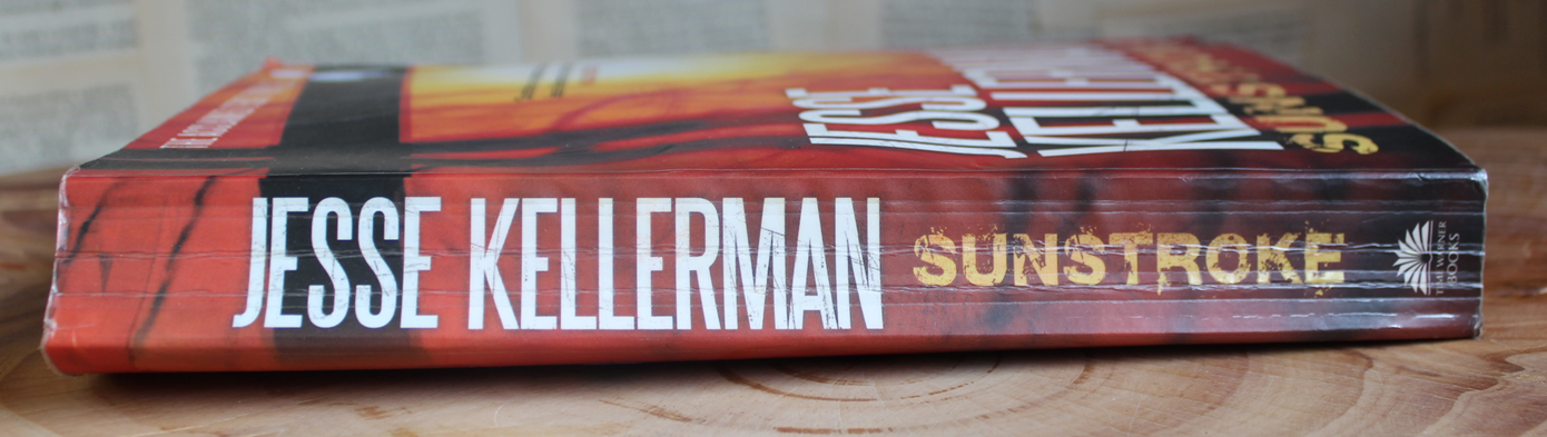 Sunstroke - Jesse Kellerman