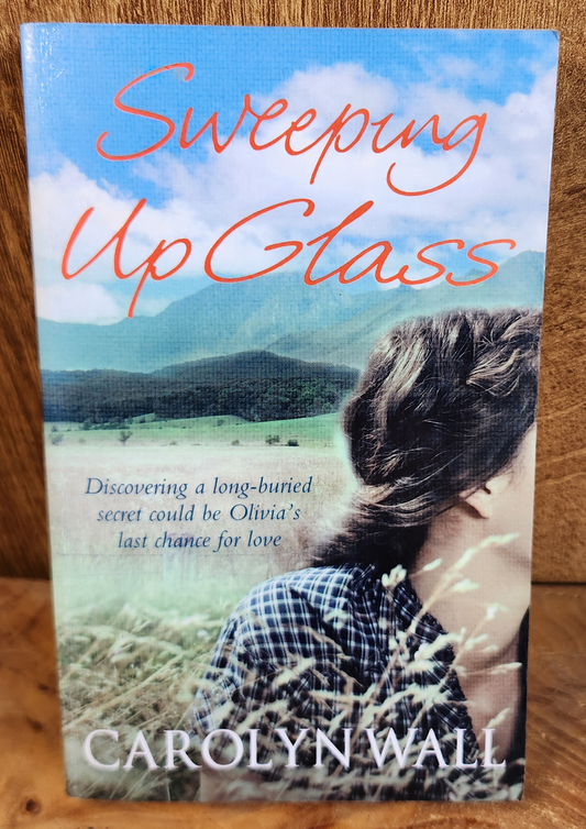 Sweeping up Glass - Carolyn Wall