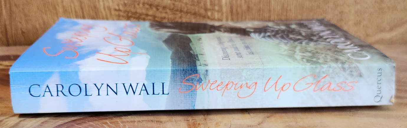 Sweeping up Glass - Carolyn Wall