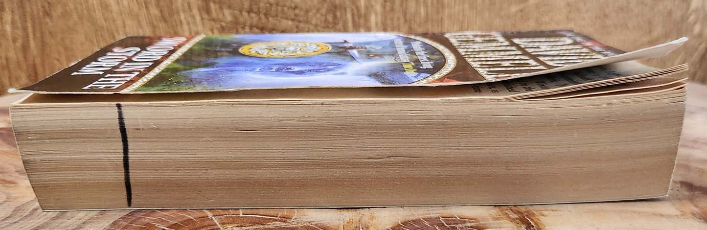 Sword in the storm - David Gemmell