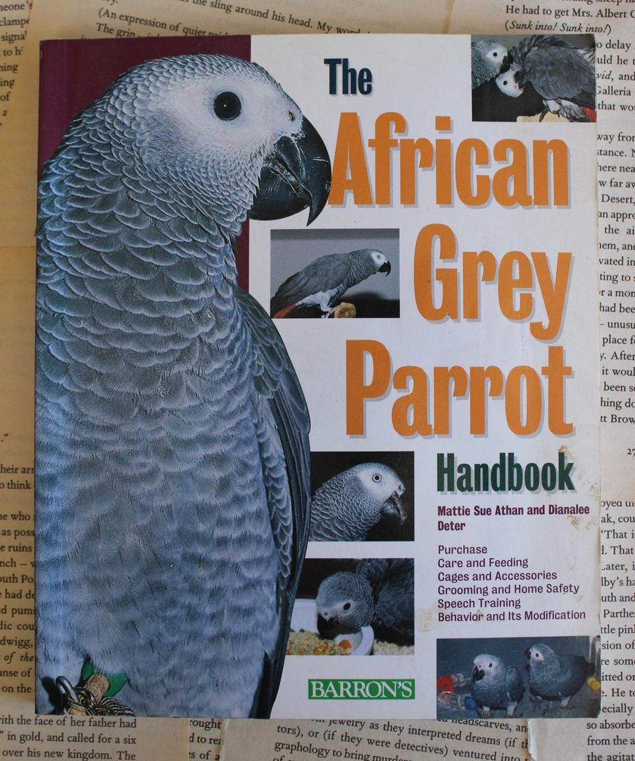 The African Grey Parrot Handbook - Mattie SueAthan and Dianalee Deter